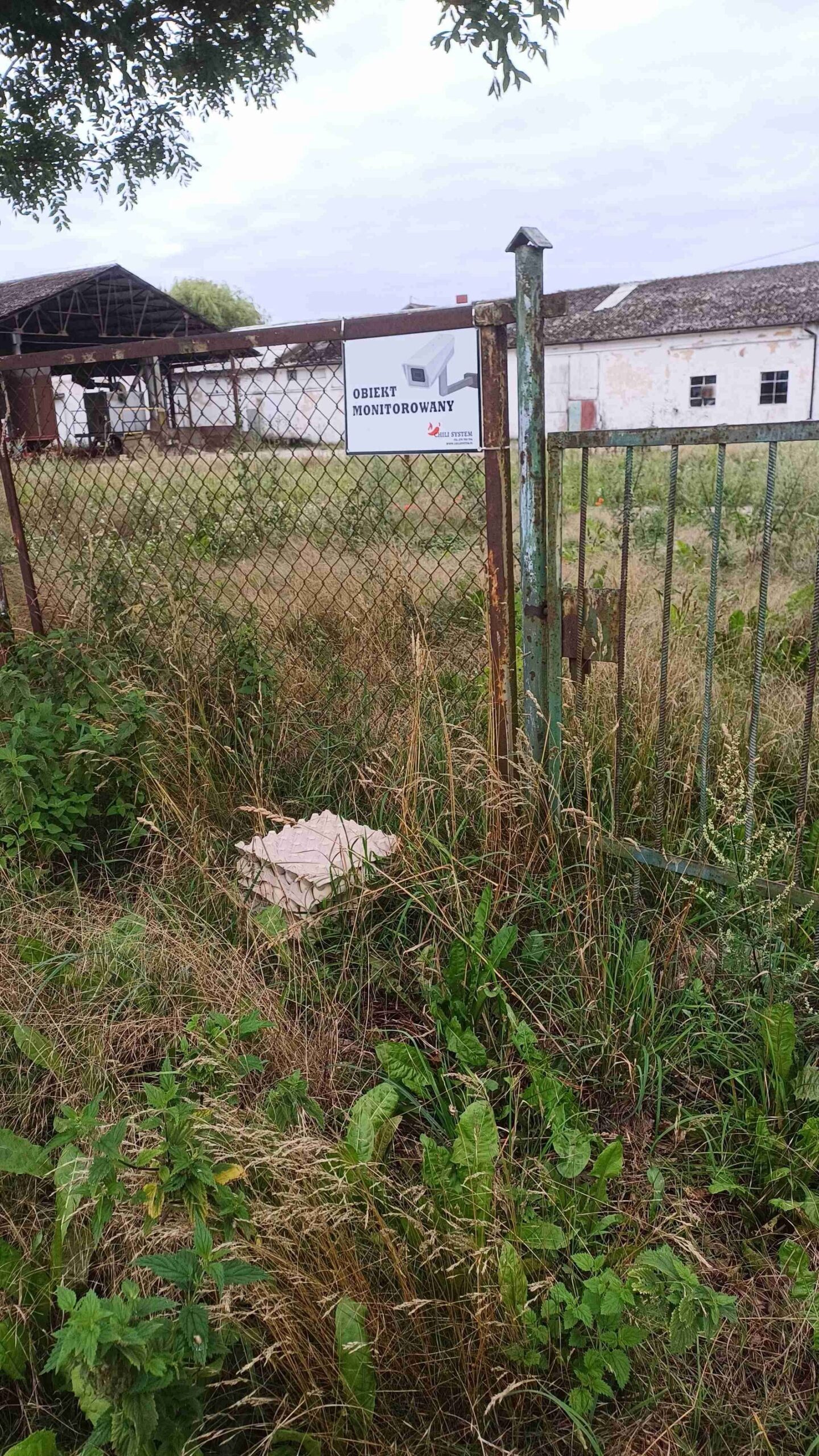 Jak dobrać kamerę solarną do gospodarstwa na jesień?